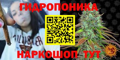 дмт Анапа